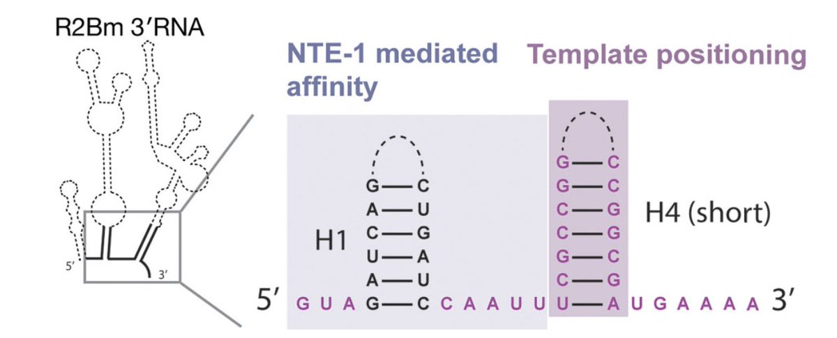 Collins Lab tweet media