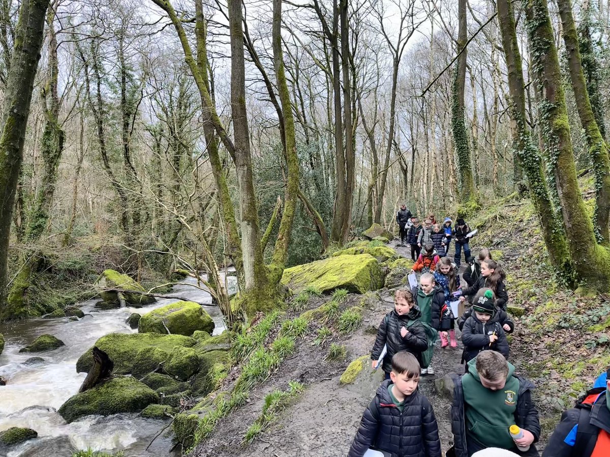 Y3 Rowan visited Harden Beck as part of their topic on rivers and the water cycle. They spotted many features such as waterfalls, plunge pools, tributaries and fast-flowing water. They mapped human and physical features as they went getting very muddy and had so much fun!