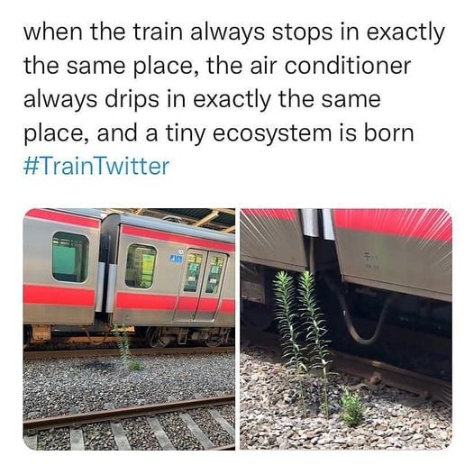 Život nađe način. 😁🌱