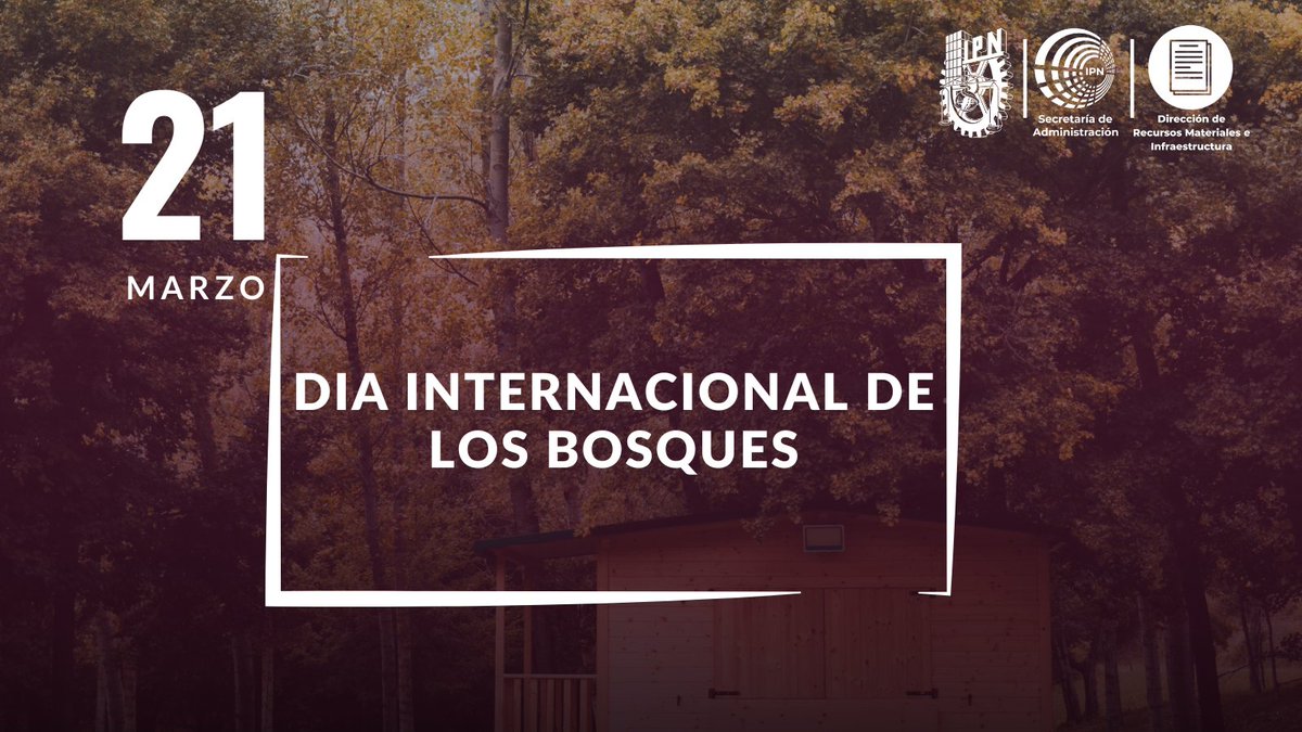 Hoy es el día internacional de los bosques, conmemoremos este día haciendo conciencia de su importancia y emprendamos acciones que conserven tan vital ecosistema. <a href="/ipn_sad/">Secretaría de Admón IPN</a> <a href="/ipn_dpp/">ipn_dpp</a>  <a href="/drf_ipn/">Dirección de Recursos  Financieros</a>  <a href="/ipn_dch/">IPN - Dirección de Capital Humano</a>