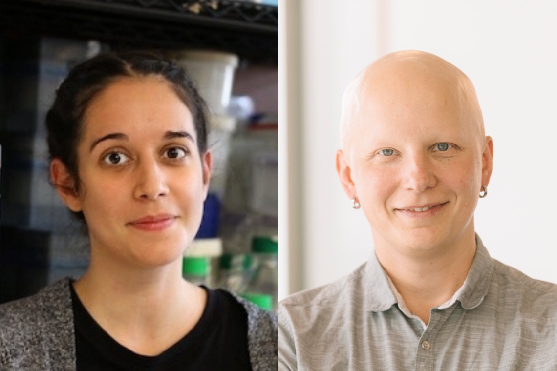 Researchers at the @DonnellyCentre and @SinaiHealth have created a new platform to identify proteins that can control the stability of other proteins. The team discovered many new effector proteins that could be used to treat #disease. Learn more 👉 uoft.me/EffectorProtei…