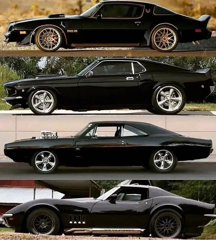 Which one would you like to have?

Me number 1