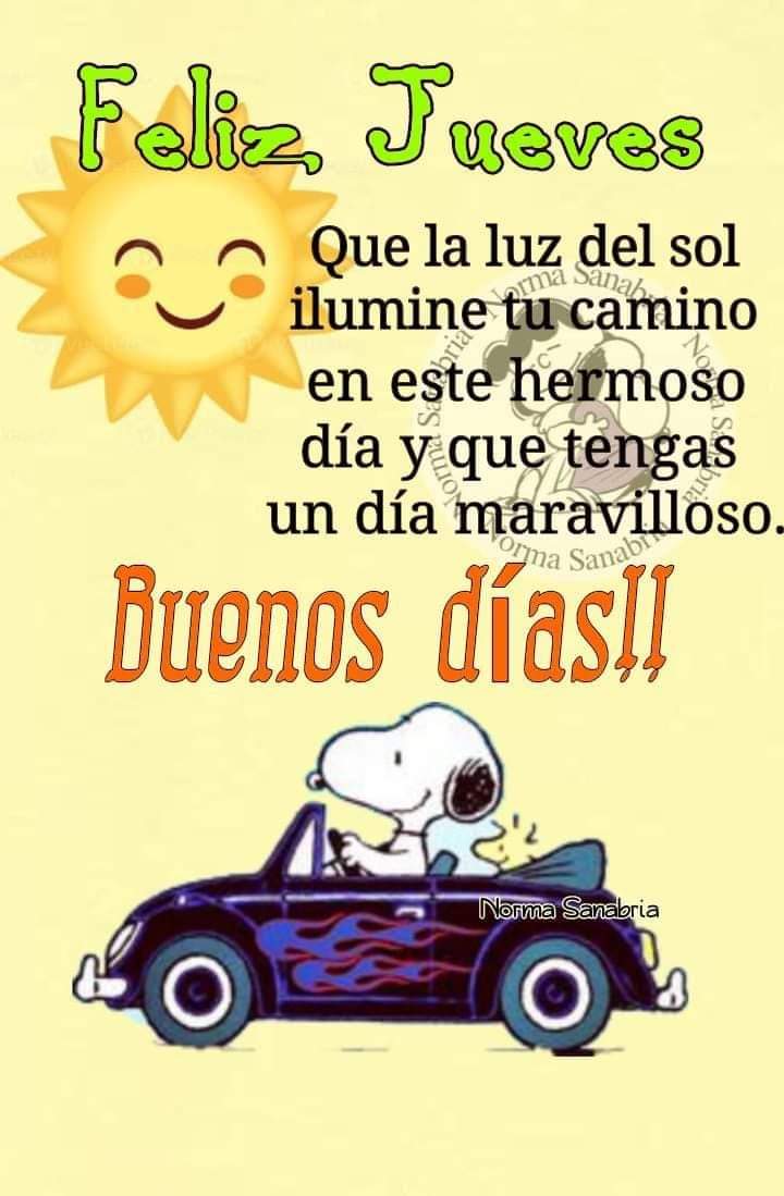 ErikaDafes's tweet photo. @PadreJosedeJes Amén 🙏 Bonito día Padre ✨ https://t.co/OoSrIzFbJf