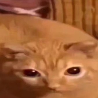 𝐉𝐀𝐌𝐄𝐒. tweet media