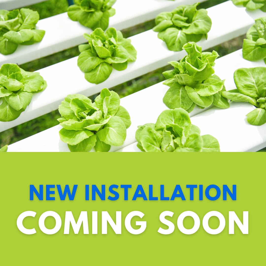 Growing Peace tweet media