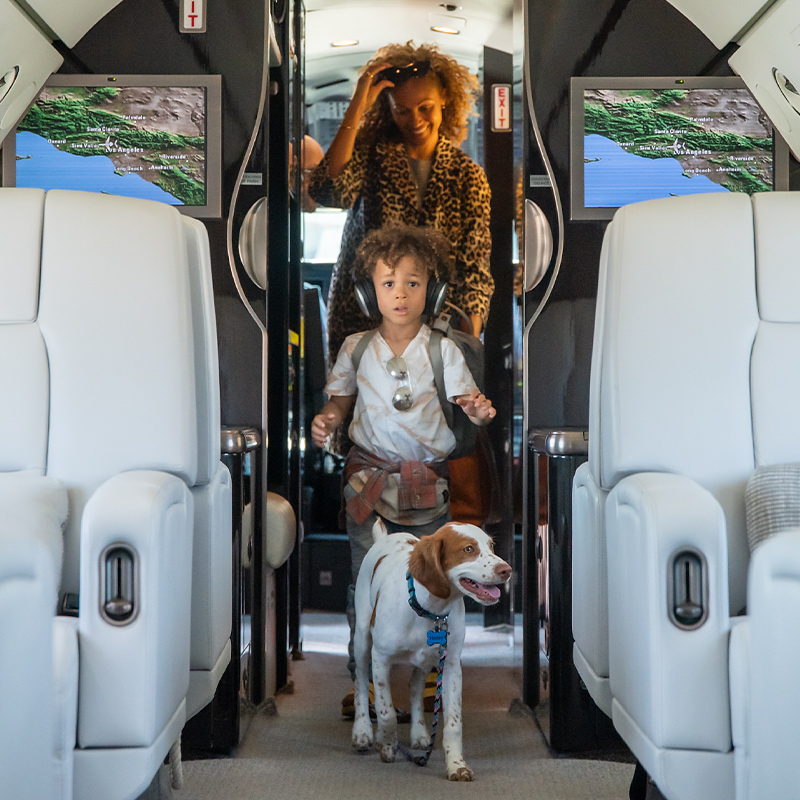 FlySilverAir's tweet photo. Sky-high with tails wagging! 🐾 We love having four-legged adventurers on board. Get ready to jet-set with your furry friends! #PetsFlyPrivate #flysilverair https://t.co/7x6yCU4sT4