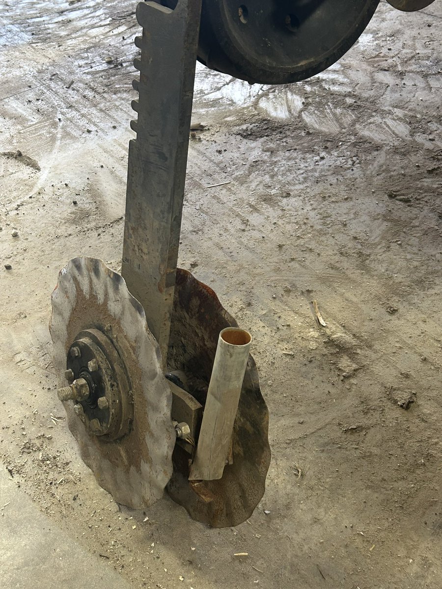 Patrick Hamilton tweet media