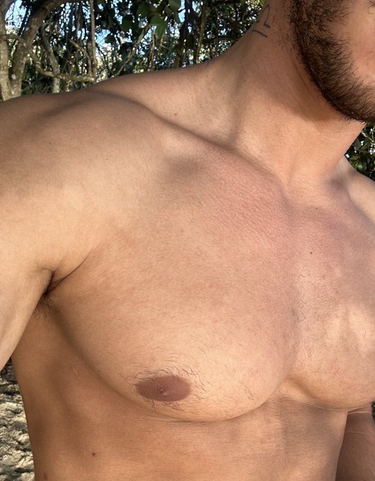 esperando aparecer uma trend de peito pra eu participar https://t.co/QkVIn8yR2d