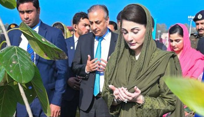 پلانٹ فار پاکستان

مریم نواز نےجنگلات کے عالمی دن پرصوبے بھرمیں "پلانٹ فار پاکستان“کی سب سےبڑی خصوصی شجرکاری مہم کاآغاز کردیا۔مریم نواز نےعوام سےاپیل کی کہ شجرکاری مہم میں بھرپورحصہ لیں درخت لگائیں پنجاب کو سرسبزوشاداب بنائیں۔
#PlantForPakistan2024
#MaryamNawaz #PlantForPakistan