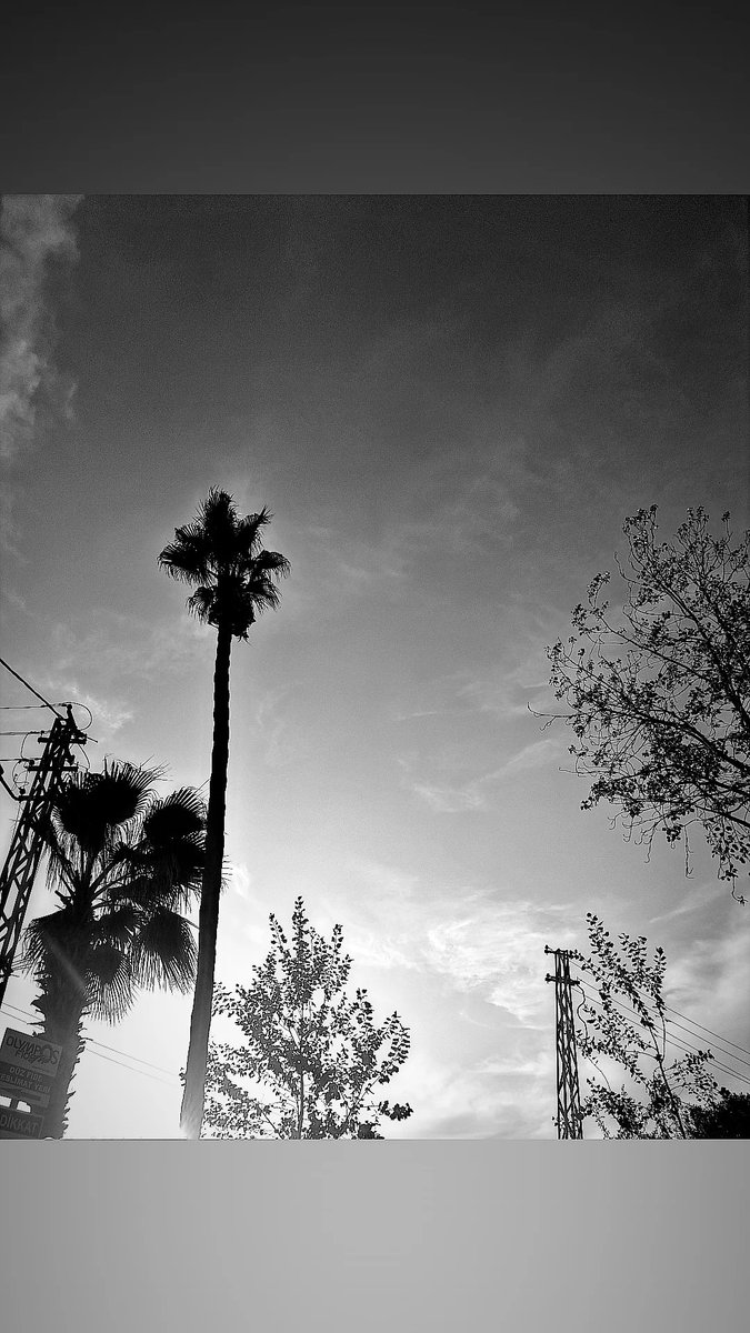 Uykuyla dinlenemeyecek kadar yorgunum artık.
Gazap Üzümleri
John Steinbeck
#iyigeceler #GeceyeBirNot #maviayraç