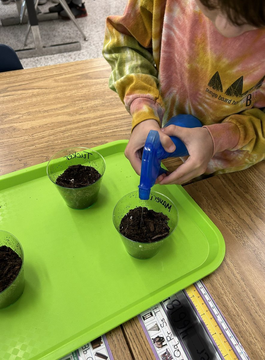 Planting plants today in kindergarten! 💗@CreedsES