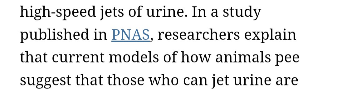 Bap Slambino | Animal Game Dev tweet media