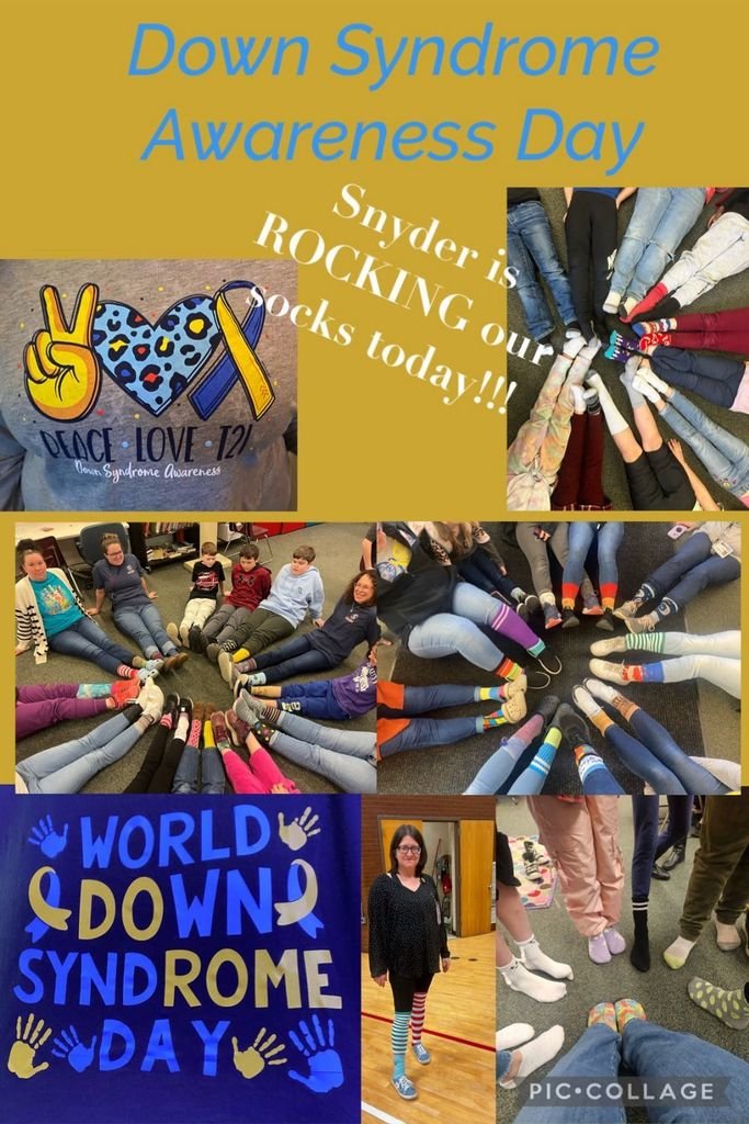 Sayre Area School District tweet media