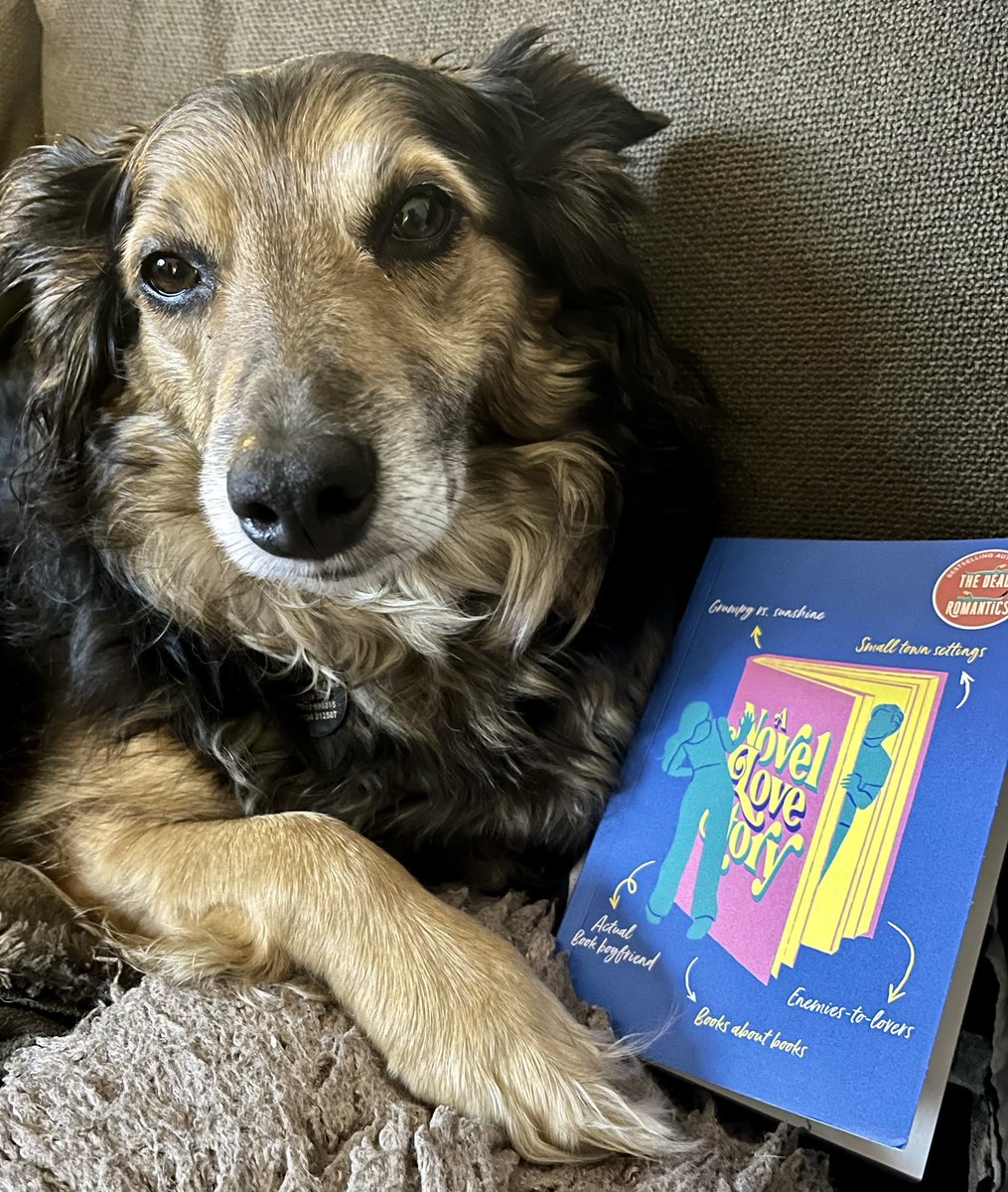 So thrilled to get a proof of the new @ashposton #ANovelLoveStory (even if Lily appears to called first dibs!) 

I adore Ashley’s books and I can’t wait to start this one 💙📚💙

Thank you so much for sending @priyalagrawal