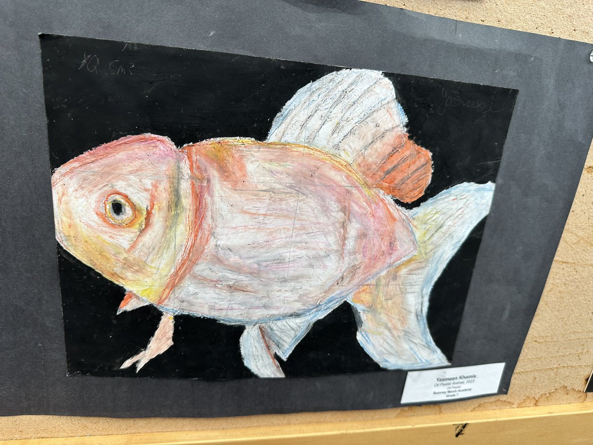 Rumney Marsh Academy tweet media