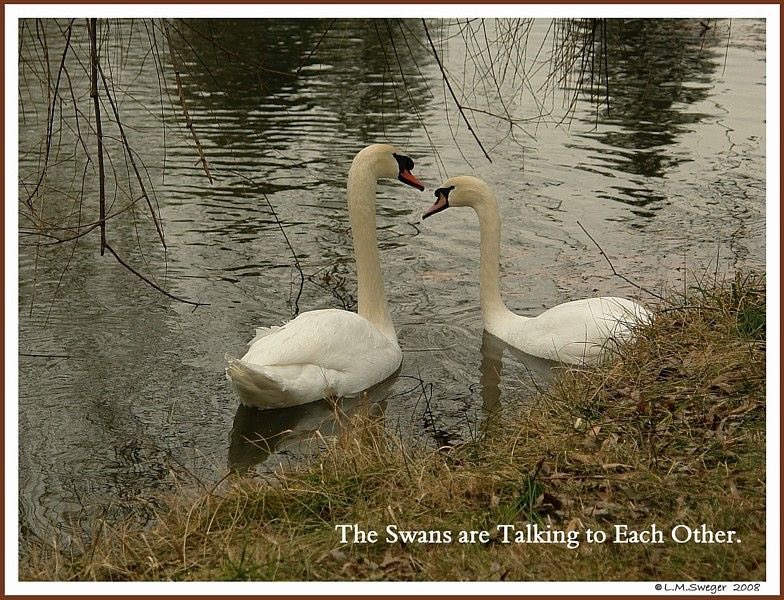 Me and my dearest friends having a conversation