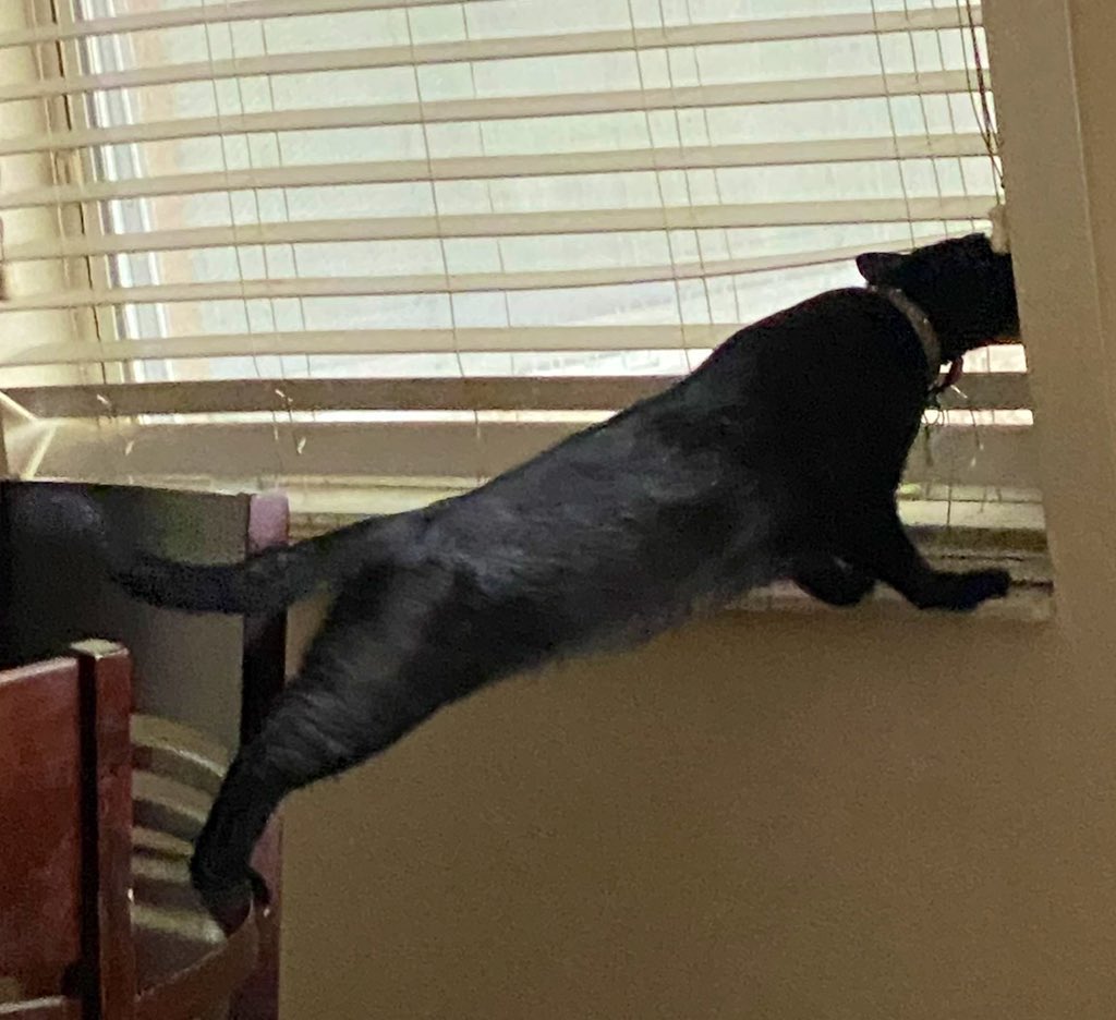 🥱 clarke tweet media