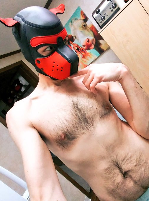 Felt puppyish today. Been a minute. Was nice. 🐶  #pupplay #puppyplay #gaypup #gaypup #gayotter #gaytwitter<a href="/tag/puppyplay"class="tags"><span>#puppyplay</span></a><a href="/tag/gayotter"class="tags"><span>#gayotter</span></a><a href="/tag/pupplay"class="tags"><span>#pupplay</span></a><a href="/tag/gaytwitter"class="tags"><span>#gaytwitter</span></a><a href="/tag/gaypup"class="tags"><span>#gaypup</span></a>