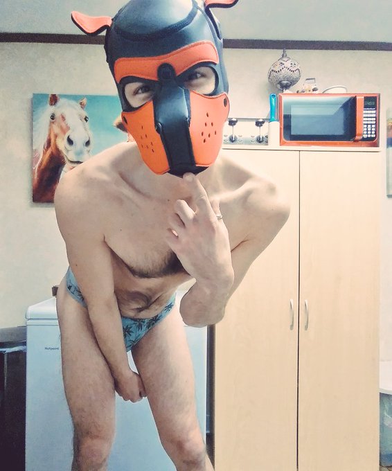 Felt puppyish today. Been a minute. Was nice. 🐶  #pupplay #puppyplay #gaypup #gaypup #gayotter #gaytwitter<a href="/tag/puppyplay"class="tags"><span>#puppyplay</span></a><a href="/tag/gayotter"class="tags"><span>#gayotter</span></a><a href="/tag/pupplay"class="tags"><span>#pupplay</span></a><a href="/tag/gaytwitter"class="tags"><span>#gaytwitter</span></a><a href="/tag/gaypup"class="tags"><span>#gaypup</span></a>