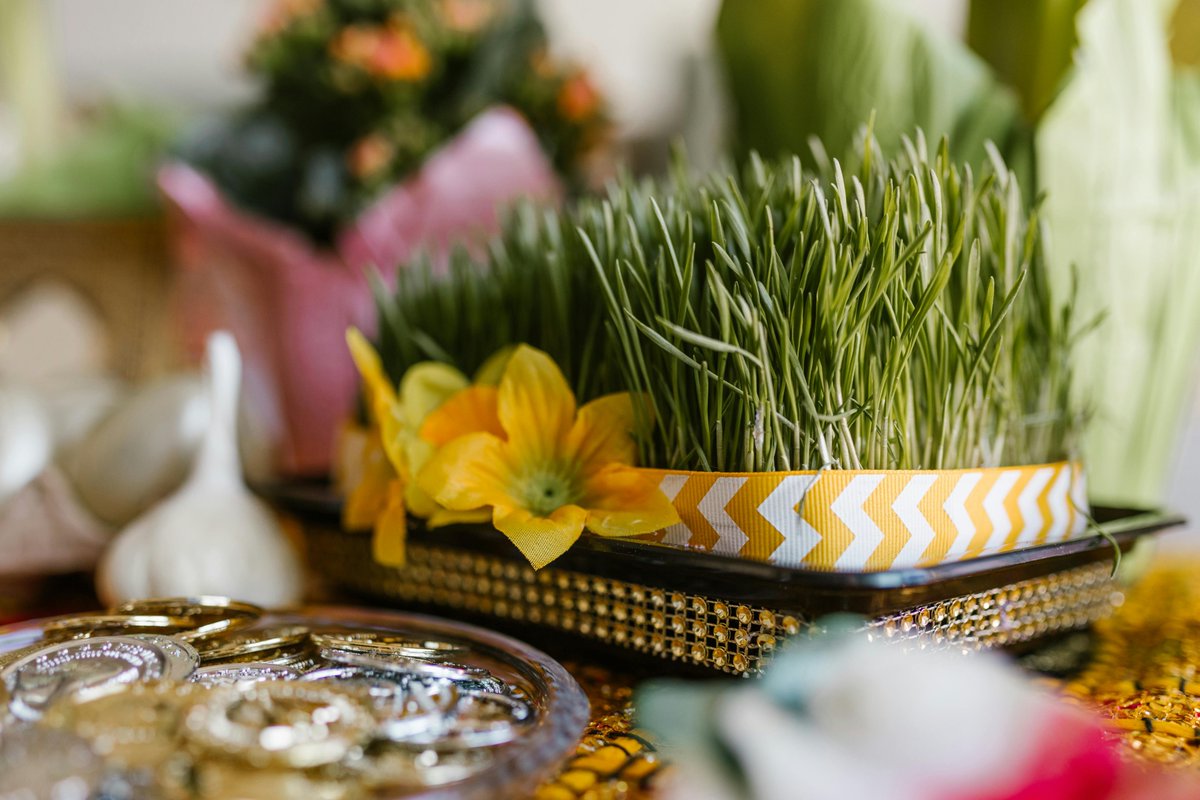 Nowruz, the Persian new year, began yesterday. We hope that whoever was celebrating had a wonderful time. You can read a great article on our website about Nowruz: voyagersvoice.com/when-is-nowruz… #VoyagersVoice #travelmagazine #nowruz #persian