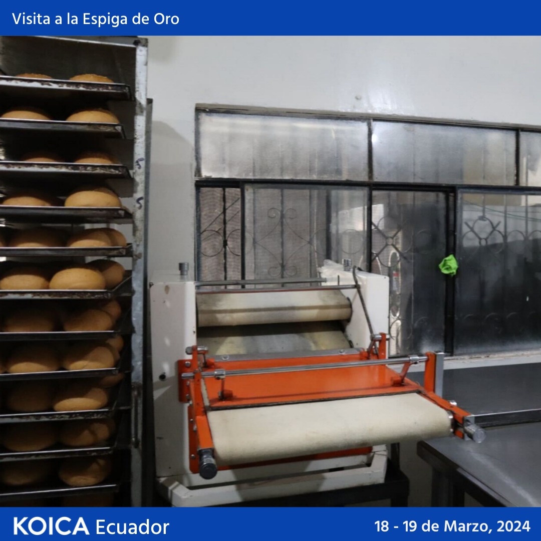 Remodelamos el Centro de Salud Augusto Egas con #ACNUREcuador, duplicando su capacidad para atender emergencias. Vimos emprendedores apoyados por el proyecto en el Centro de Comercialización del <a href="/GadTsachilas/">Prefectura Tsáchila</a>  y la inspiradora Panadería La Espiga de Oro. ¡Un mundo+ inclusivo!💙