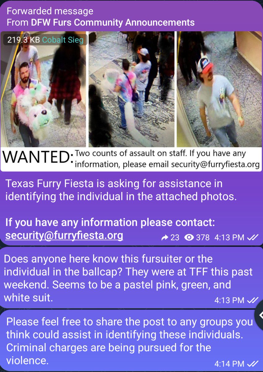 Cobalt the Malamute tweet media