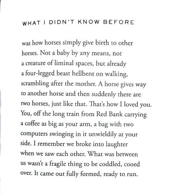 What I didn't know before was how horses simply give birth to other horses

—Ada Limón
#WorldPoetryDay