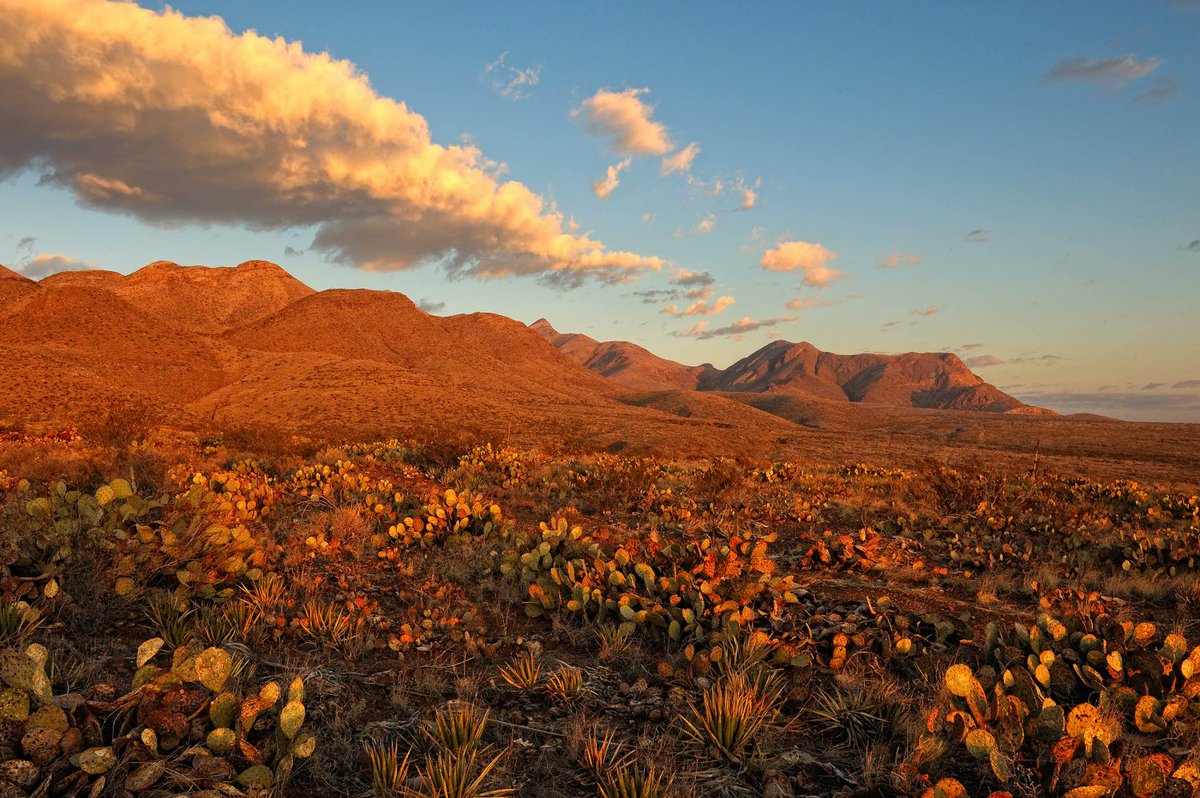 Today, we celebrate the one year anniversary of two of our newest National Monuments, Avi Kwa Ame and the Castner Range.

In 1906, the Antiquities Act created an avenue for U.S. presidents to proclaim that landscapes of inherent beauty and cultural value are worth protecting.
