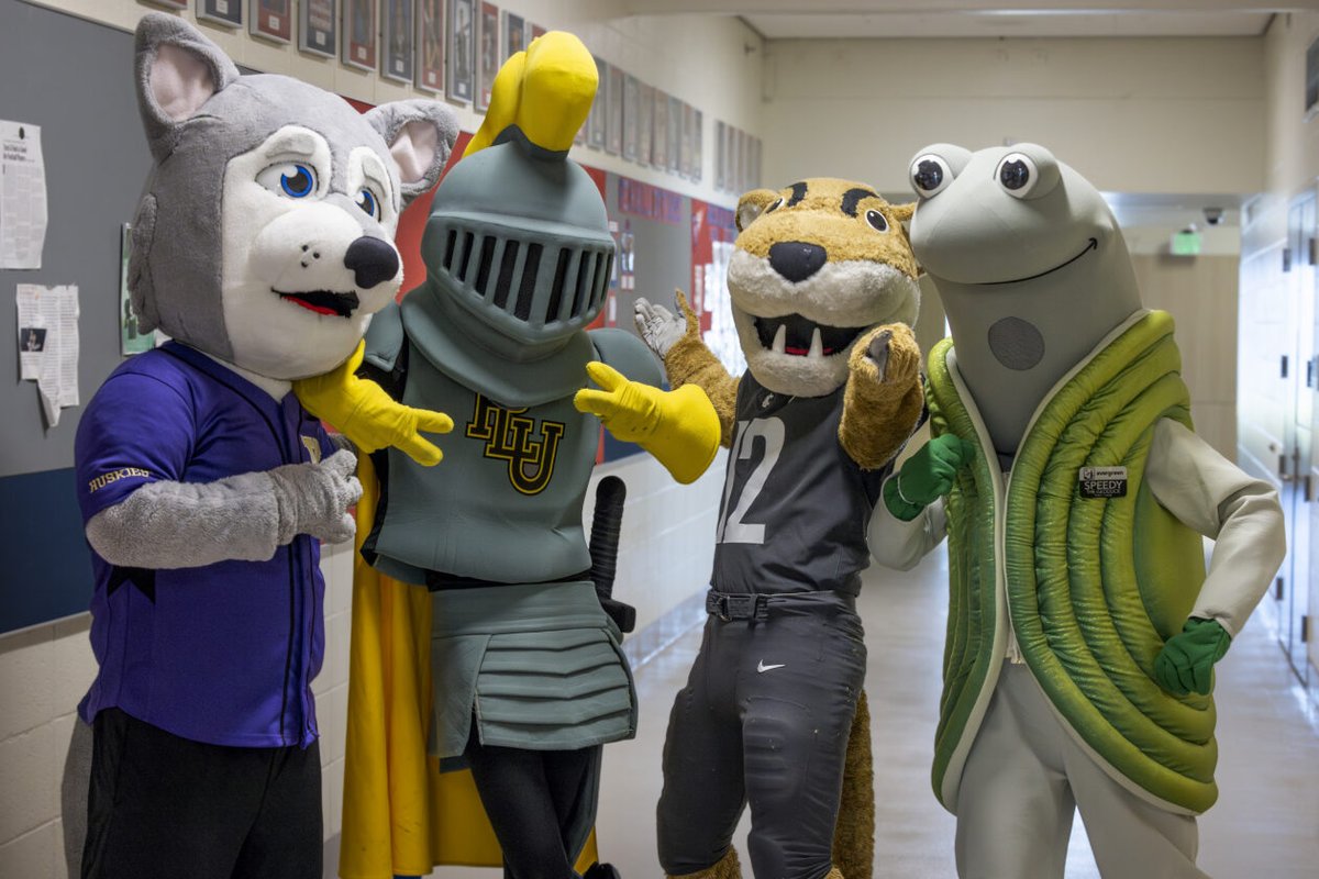 PLU_AD's tweet photo. A husky, Lute (knight), cougar and geoduck walk into a school...
#GoLutes #WACommunity #TacomaSchools https://t.co/0F8fVOFm43