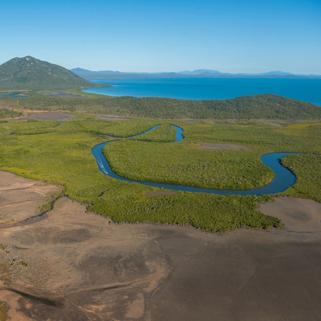 World Water Day 💦 🌧️ Poor water quality is a major threat to the #GreatBarrierReef, particularly inshore areas. Improving the quality of water entering the Marine Park is critical. The @gbrmarinepark supports actions that reduce pollutant loads from all land-based sources.