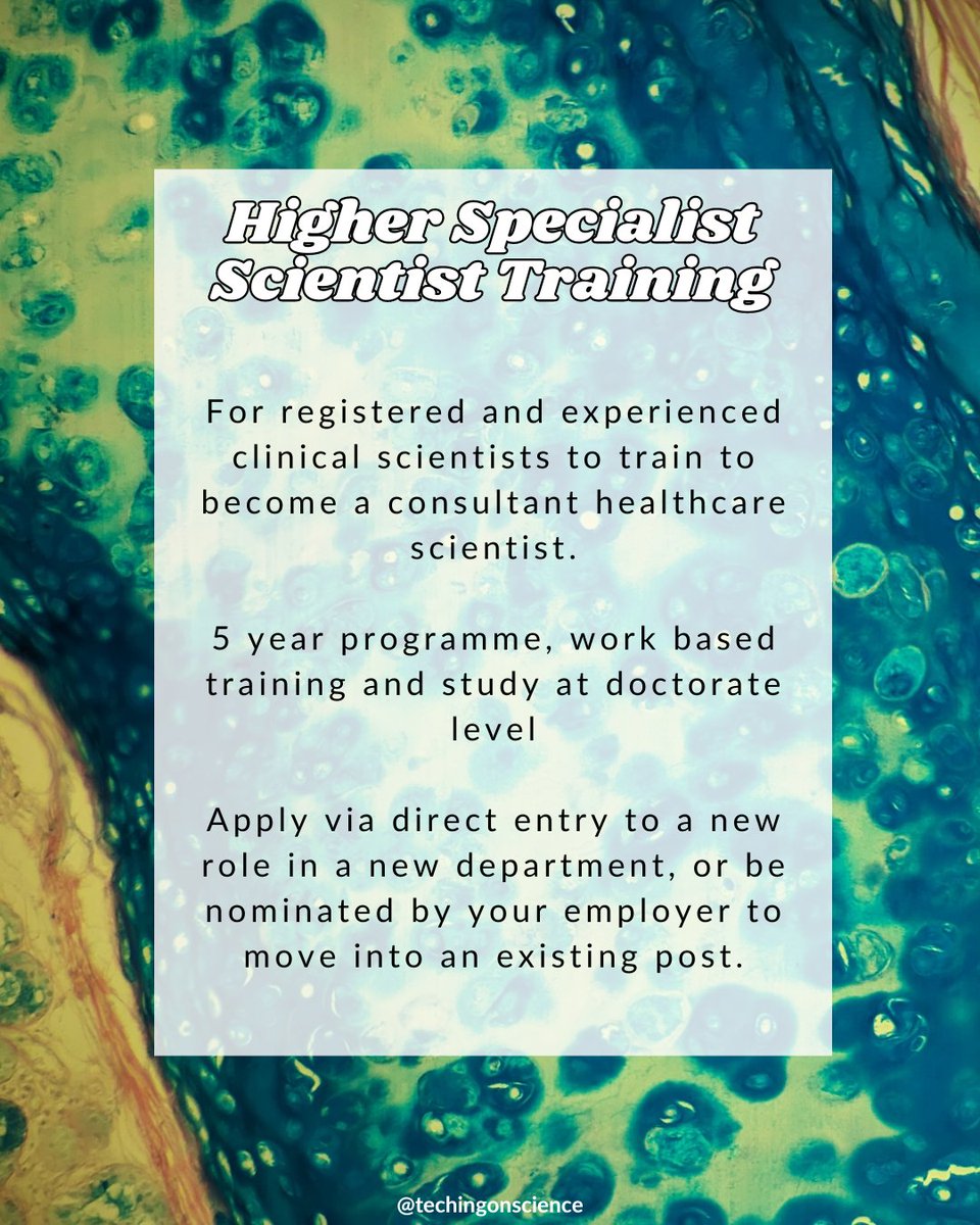 Laura Taylor 🍊 tweet media