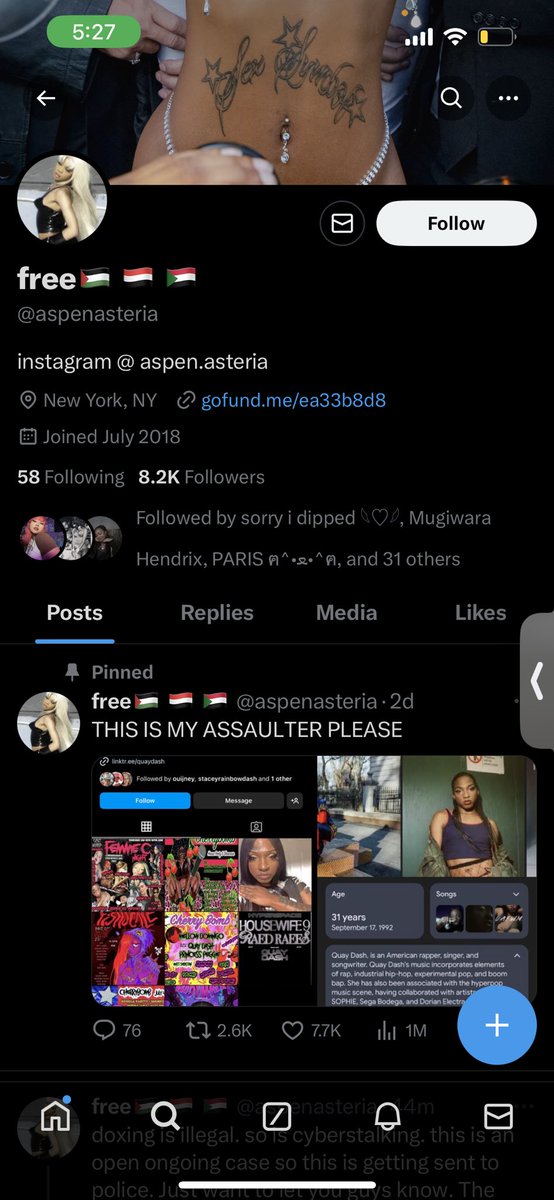 y’all should block this person they said the person that attacked them was over 6 ft n quay dash is a whole foot shorter than that. they r a terf n lying :(