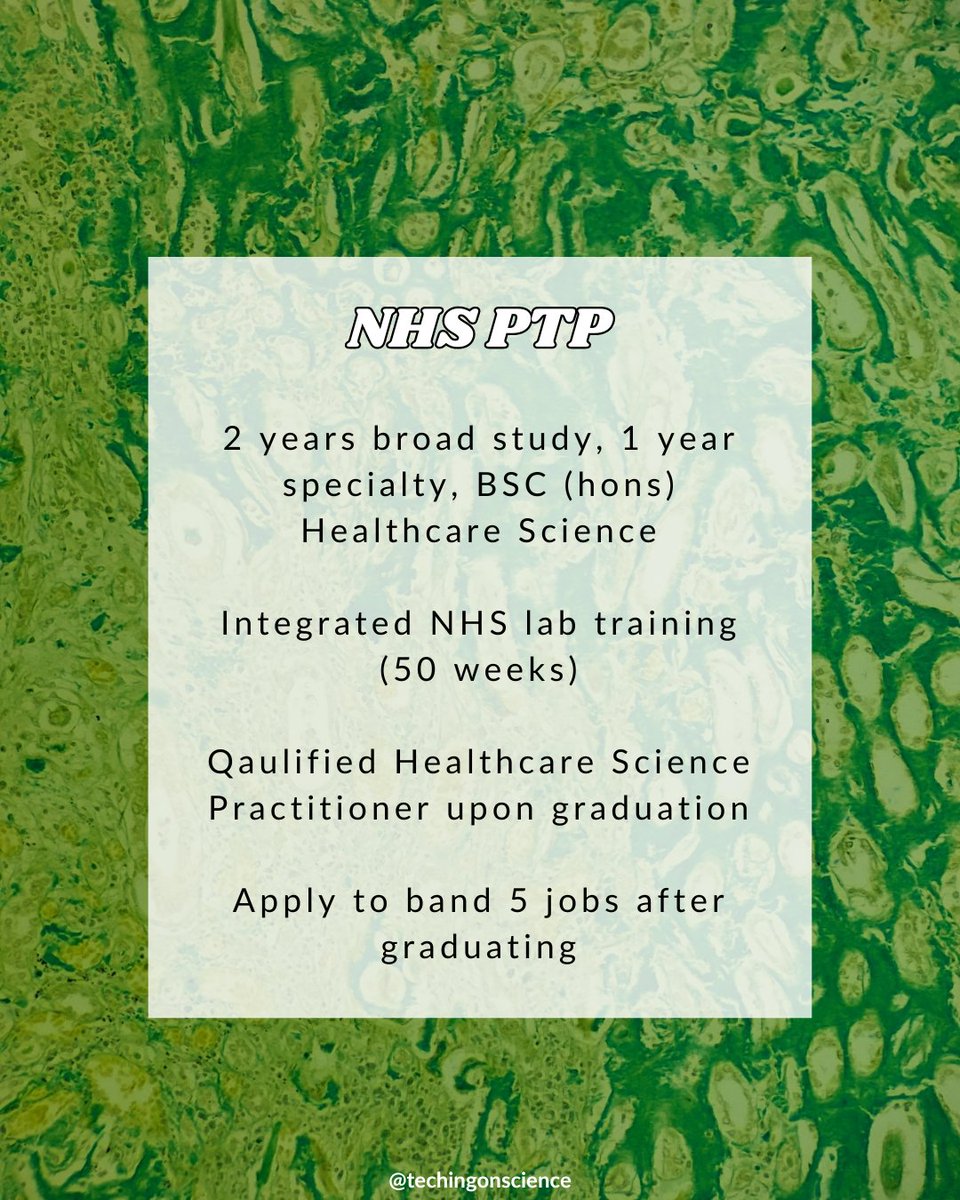 Laura Taylor 🍊 tweet media