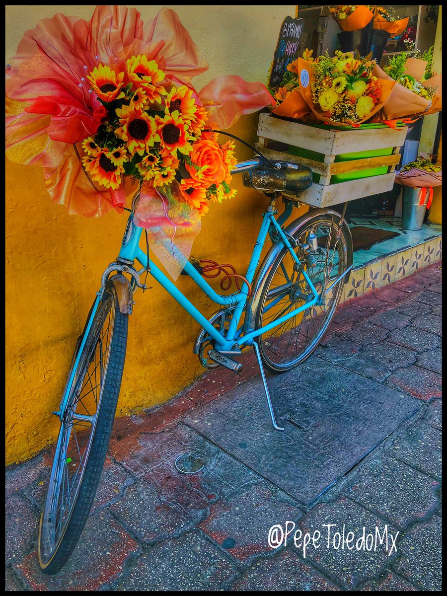 Y tu ya regalaste flores amarillas…