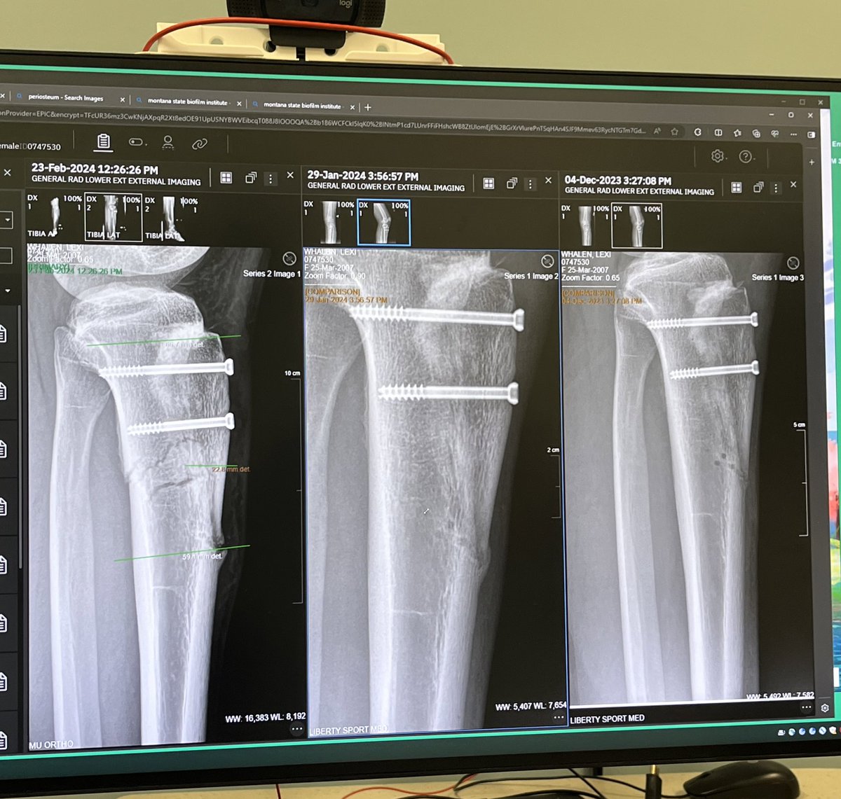 Lexi Whalen tweet media