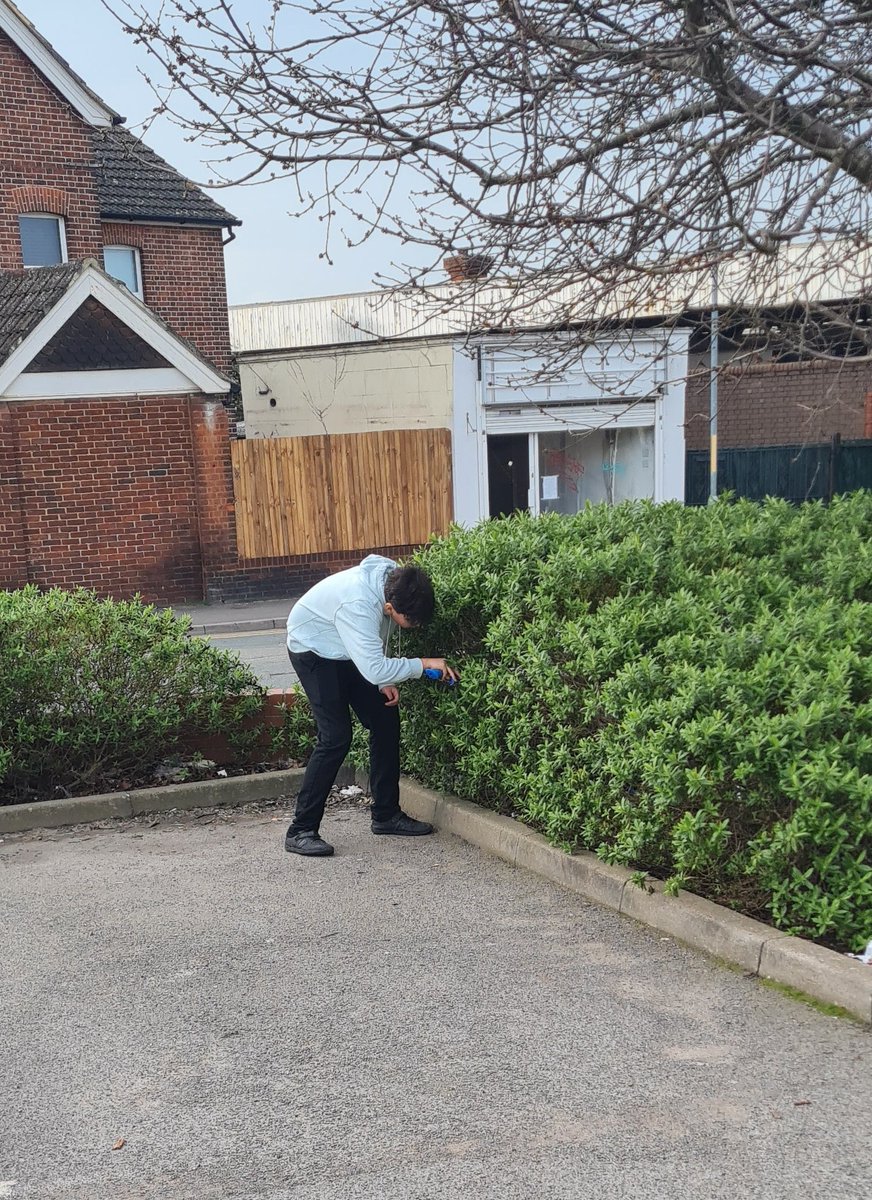 Litter Kickers tweet media