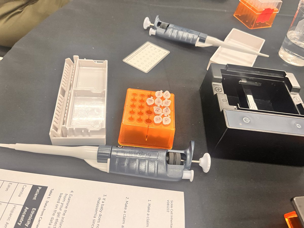 stacythib's tweet image. Learning about sickle cell cases and @MiniOneSystem.  #apbiology solutions with real world problems!   @NSTA #NSTA2024