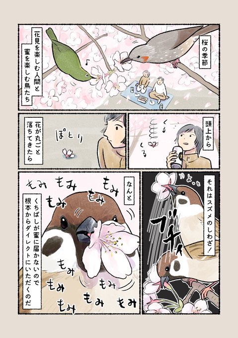 意外と知らない鳥の生活
「スズメの大胆な一面!?」
くちばしが太く、舌が蜜のある部分に届かないスズメ。なんと花ごとちぎってカミカミします。 