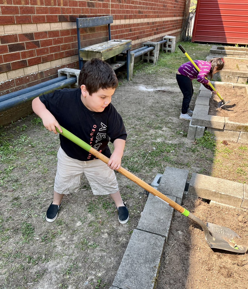 ChicopeeWoods's tweet photo. 🌼🌹These students are having a blooming good time preparing the school garden for the upcoming season!🌸🌻#schoolgarden #greenfingers #springtimebeauty 🌞🌷🪷@Hall_Schools https://t.co/8aSP7jV66S