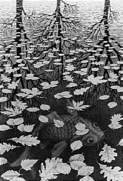 Analfabetismo emotivo Tre mondi, Escher (1955)