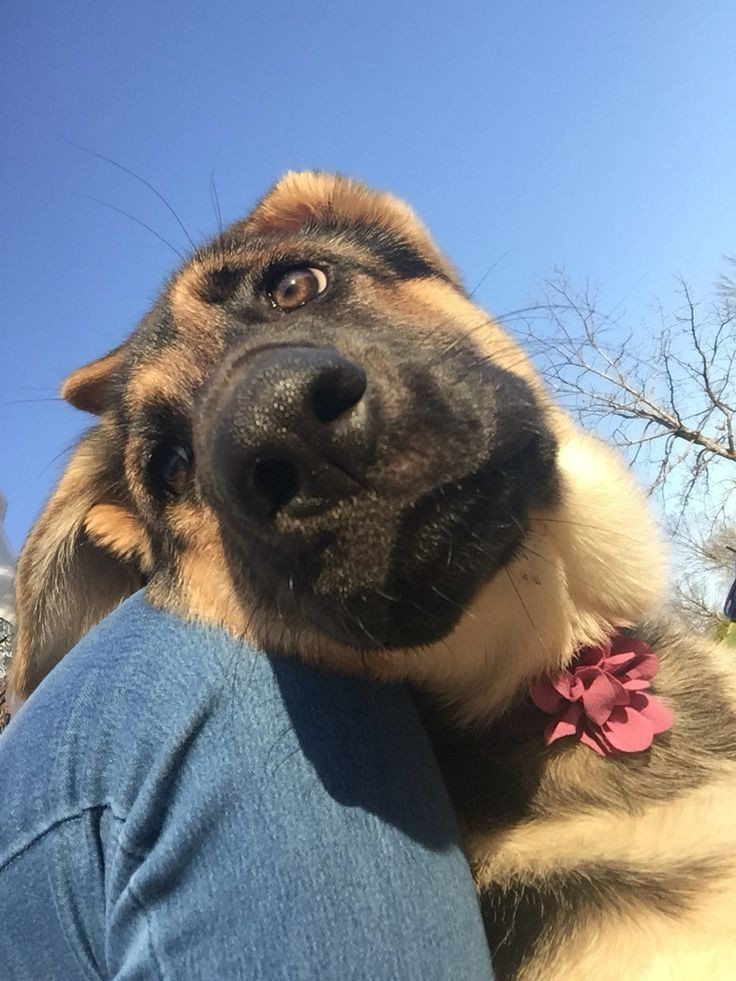 — Today at the Park with the big girl, Riley.