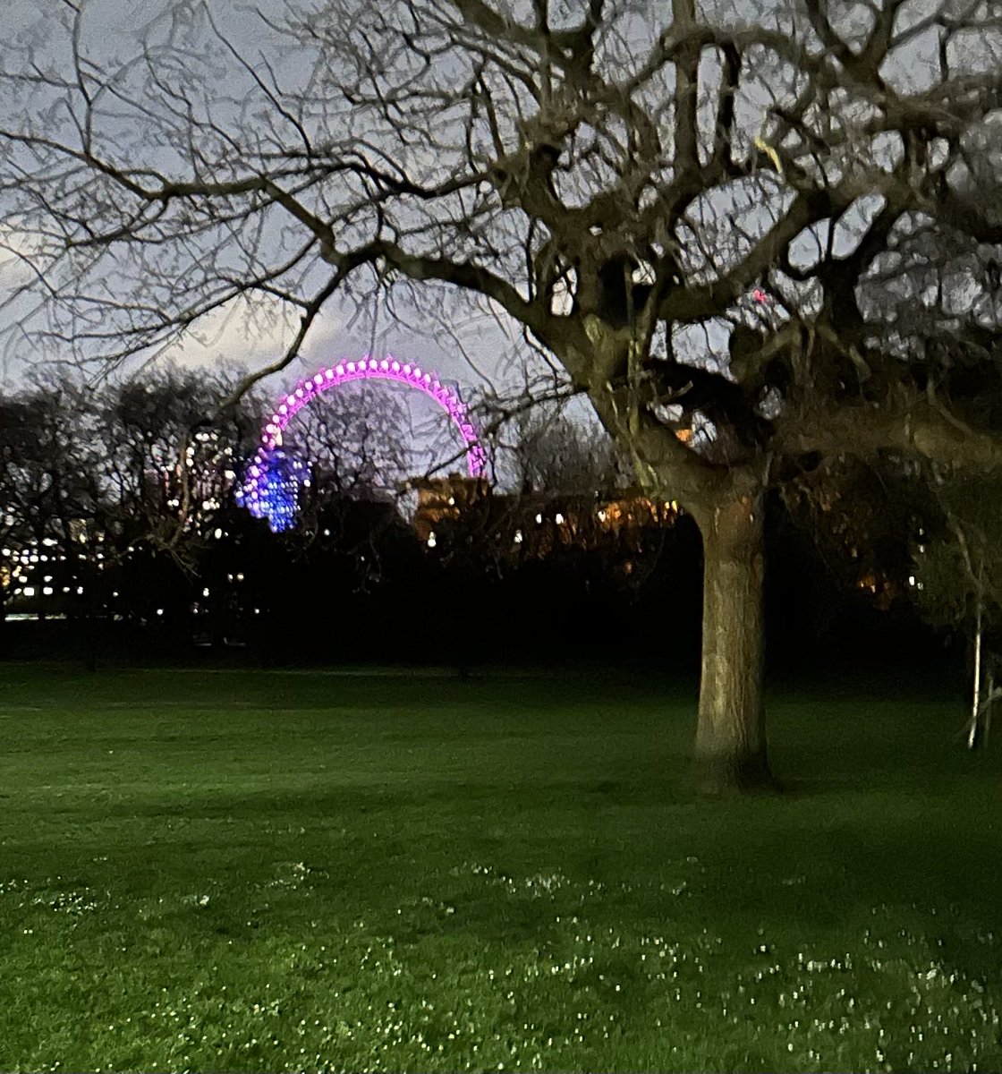 The Park at night