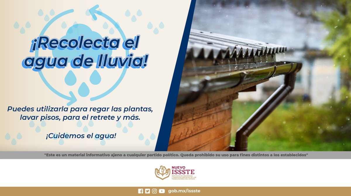 ISSSTE_mx's tweet photo. ¡Es hora de cuidar el agua! 💧
En este #ViernesDeTips, te compartimos una excelente recomendación para contribuir a su conservación: 👇
#CuidaElAgua https://t.co/MidJlrLewM