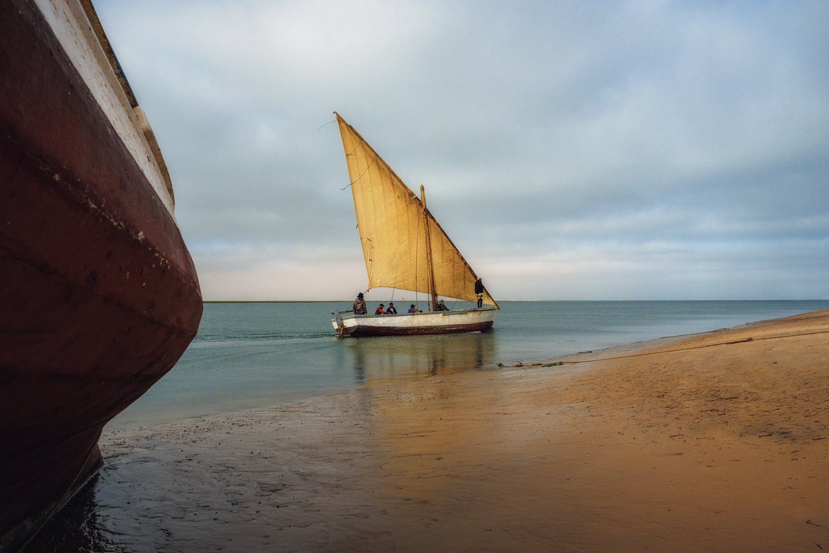 LucaOnAdventure tweet media