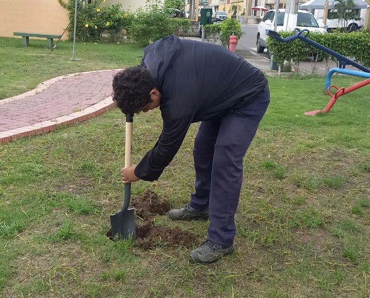 Ambiente_Guayas's tweet photo. Como parte de nuestro programa #ReforestaGuayas 🌳 realizamos la entrega de 100 árboles nativos a la @LAJOYAec, etapa Esmeralda. 

✅Junto a @FundBioelit y residentes se realizó la siembra de estos árboles en áreas verdes de la urbanización. 

#GuayasSeMueveAlCambio 🍃 https://t.co/FEpjiPlNue