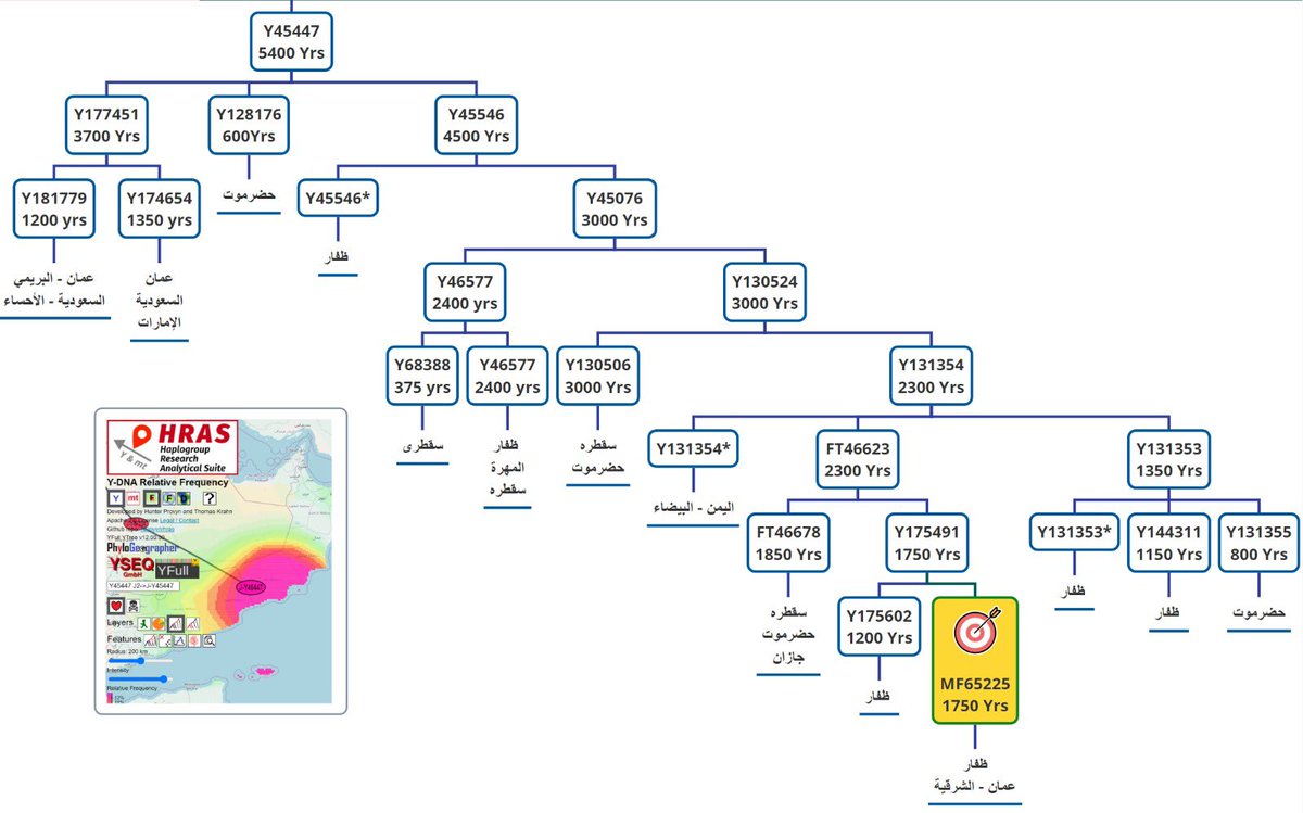 j2b-M205 tweet media