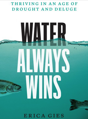 Now @kpfaradio @Standupcoyote WoooOOOfing w/ Erica Gies author 'Water Always Wins'- 'we have Drained 87% of Wetlands' #Slowwater #SlowMoney #Phragmites @KPFK @KWMRradio @SusanBratton   @KFCF @Genatural #SedimentScarcity slowwater.world