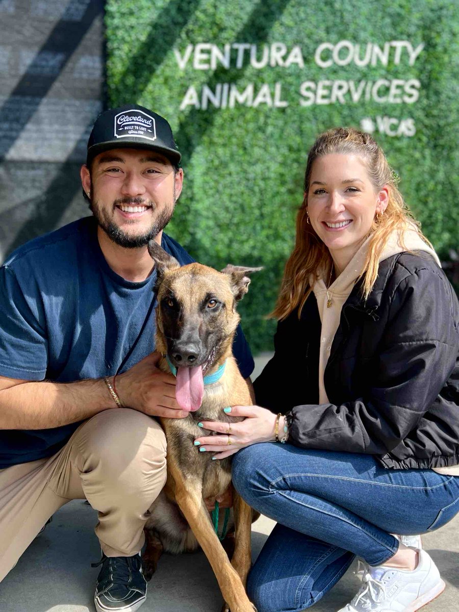 Mr. Beans, now “Brock,” adopted and going home! 🏡