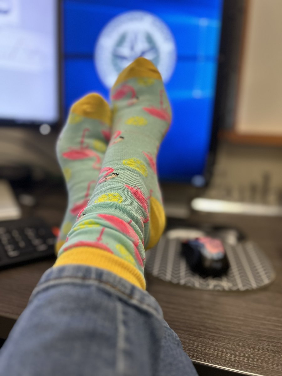 Monica Williams tweet media