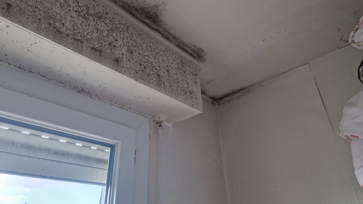 alexis jouanguy tweet media